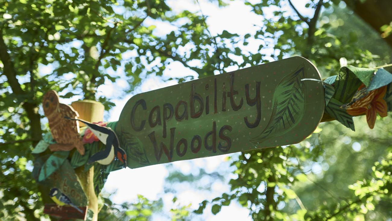 Capability Woods