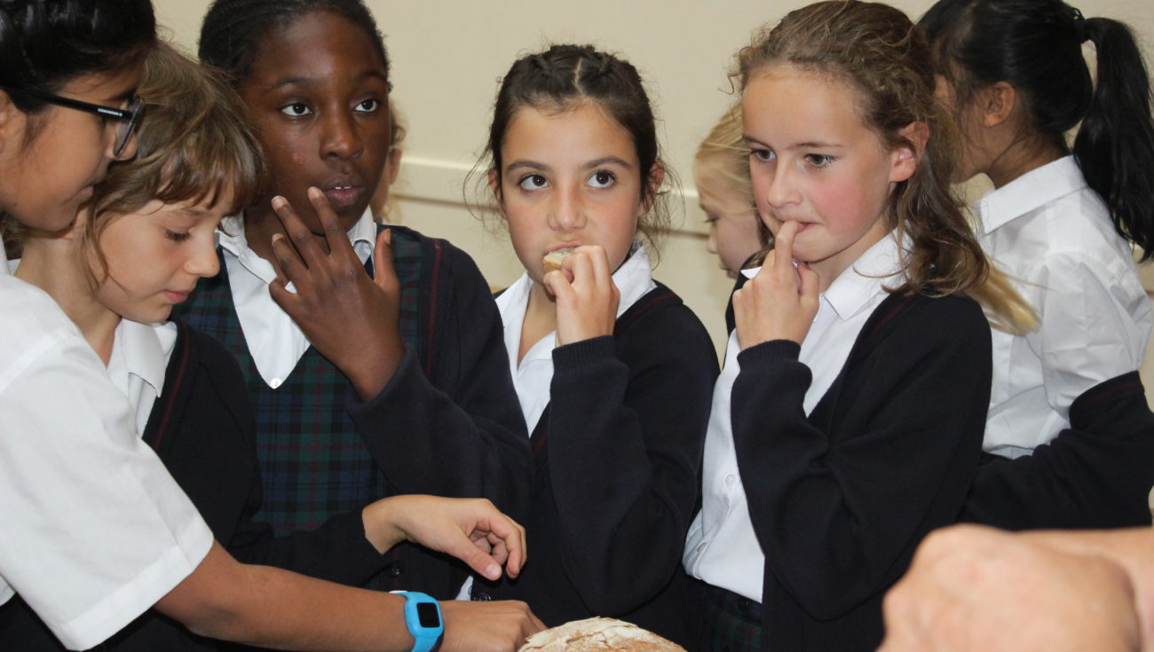 Bread Making and Tasting