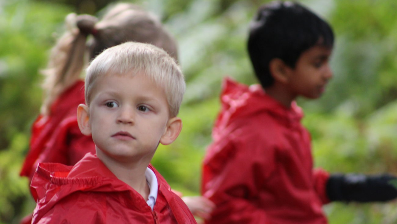 Forest School